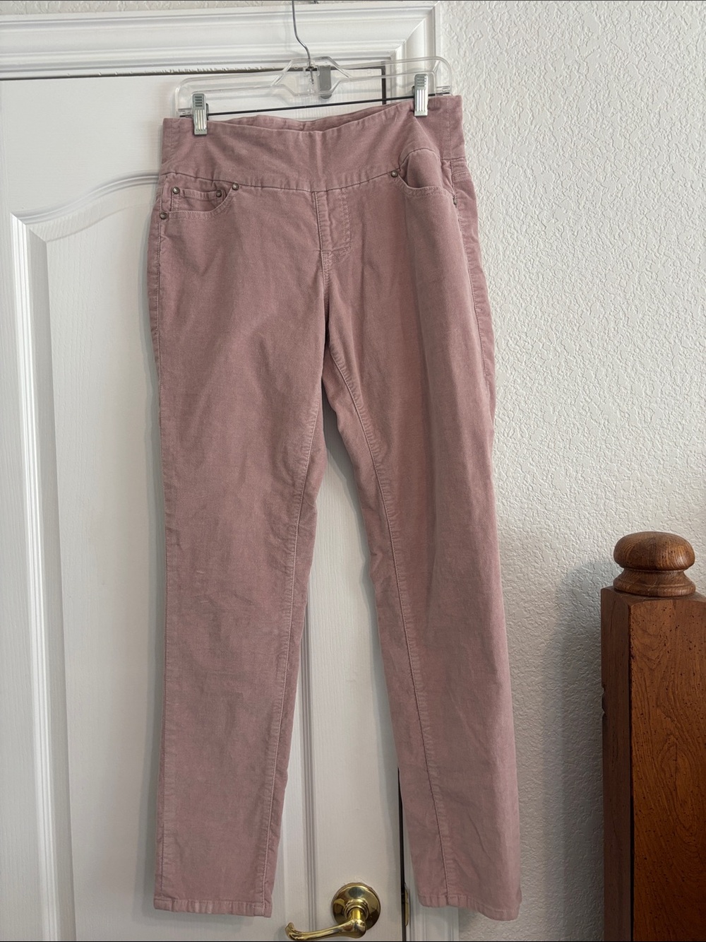 Jag Jeans Straight-Leg velour like Pants in Dusty Rose sz. 10/30